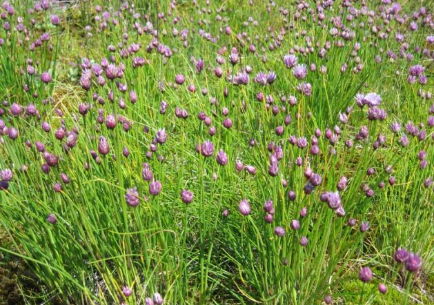 [Spring Has Arrived]